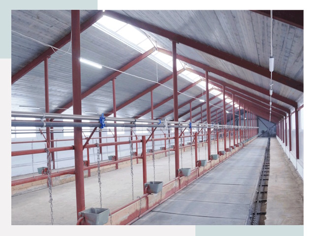 Строительство коровников в Крымске от 622 руб.