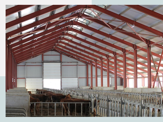 Строительство коровников в Крымске